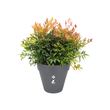 loft urban rond wielen 40cm antraciet potplant, Elho, tuincentrumoutlet