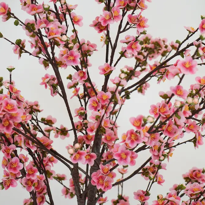 Prunusplant 100x100x180cm rz bloemetjes, Decostar, Tuincentrumoutlet.com