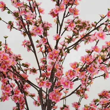 Prunusplant 100x100x180cm rz bloemetjes, Decostar, Tuincentrumoutlet.com