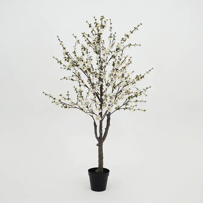 Prunusplant 100x100x180cm wt, Decostar, Tuincentrumoutlet.com