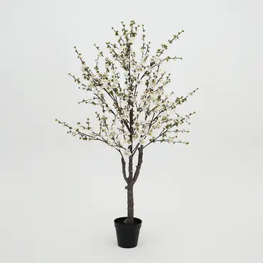 Prunusplant 100x100x180cm wt, Decostar, Tuincentrumoutlet.com