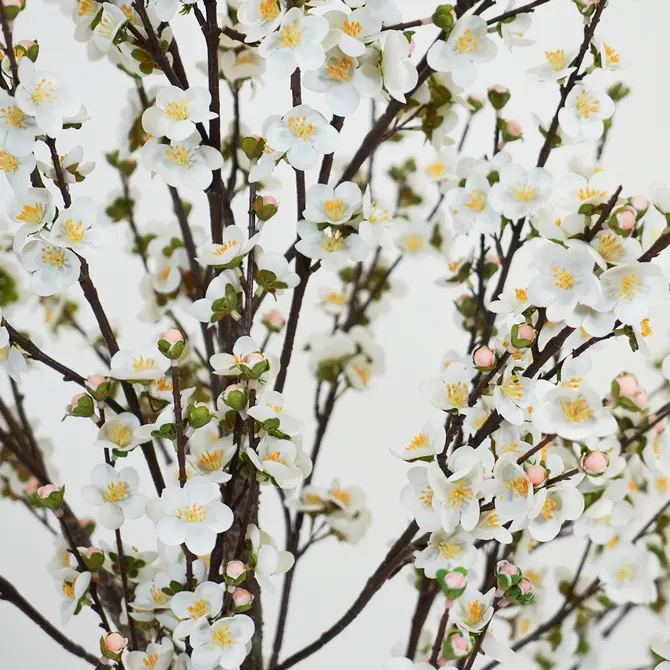 Prunusplant 100x100x180cm wt bloemetjes, Decostar, Tuincentrumoutlet.com