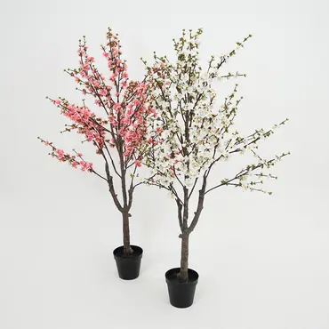 Prunusplant 100x100x180cm wt sfeer, Decostar, Tuincentrumoutlet.com