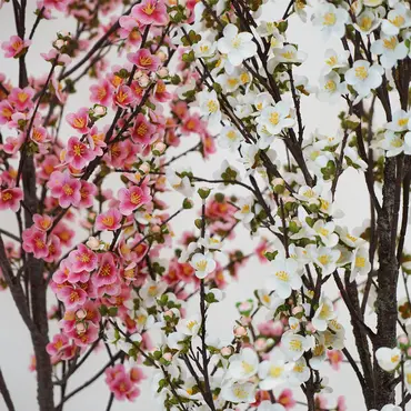 Prunusplant 100x100x180cm wt sfeervol, Decostar, Tuincentrumoutlet.com