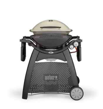 Weber Q3000 Station open, Weber, bbqkopen