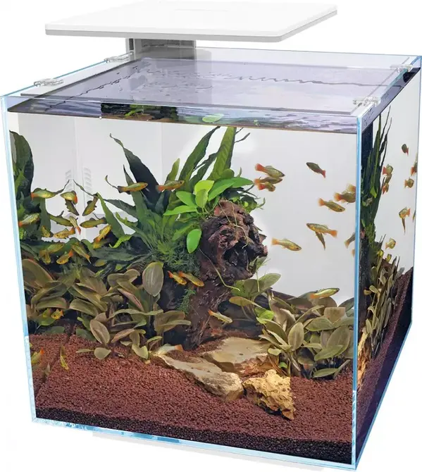Qubiq 60 pro wit, SuperFish, tuincentrumoutlet