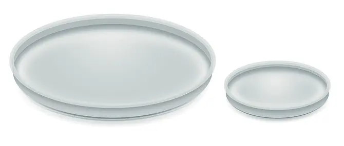 Rengenton stop 51mm transparant, Vita, tuincentrumoutlet.com