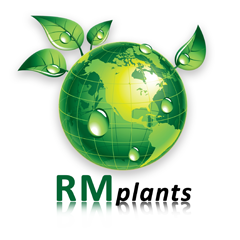 RM Plants