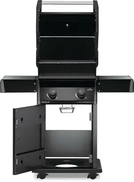 Rogue 365 matte black LPG open, Napoleon, Tuincentrumoutlet.com