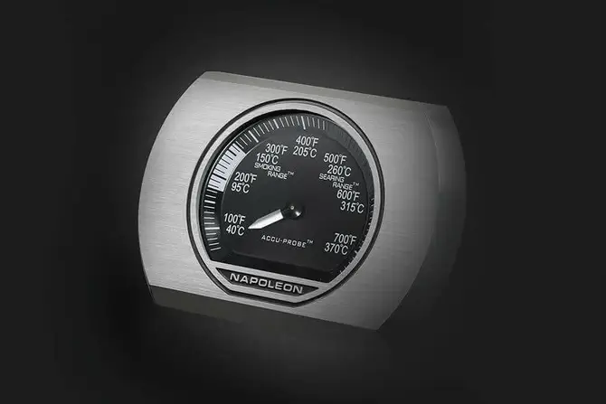 Rogue 365 matte black LPG thermometer, Napoleon, Tuincentrumoutlet.com