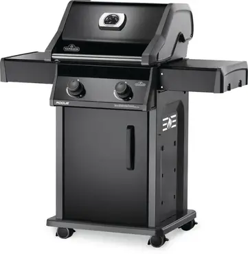 Rogue 365 matte black LPG, Napoleon, Tuincentrumoutlet.com