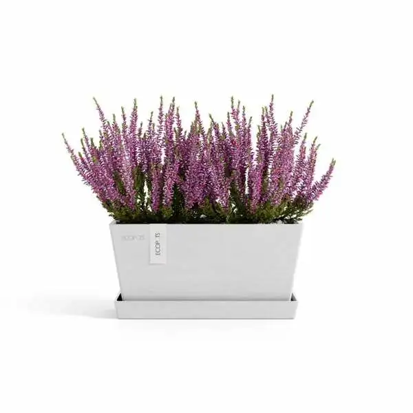 Saucer Rectangular 35 Wit plant, Ecopots, Tuincentrumoutlet.com