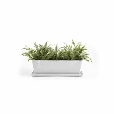 Saucer Rectangular 45 Wit sfeer, Ecopots, Tuincentrumoutlet.com