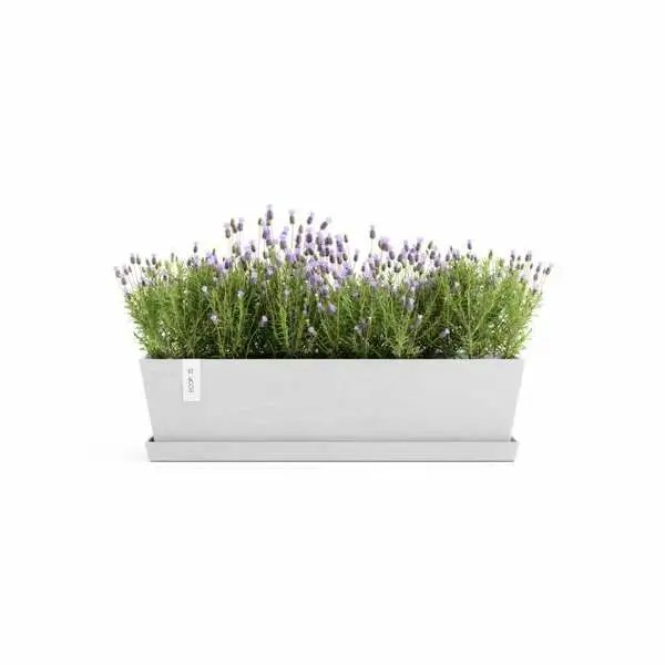 Saucer Rectangular 65 Wit sfeer, Ecopots, Tuincentrumoutlet.com