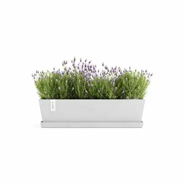 Saucer Rectangular 65 Wit sfeer, Ecopots, Tuincentrumoutlet.com