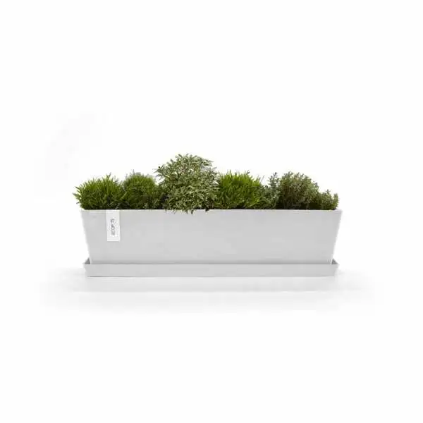 Saucer Rectangular 80 Wit sfeer, Ecopots, Tuincentrumoutlet.com