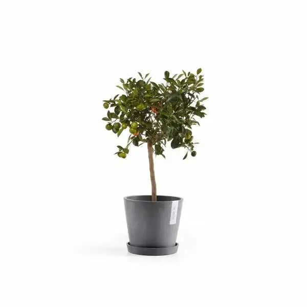 Saucer Round 20 N Grijs sfeer, Ecopots, Tuincentrumoutlet.com
