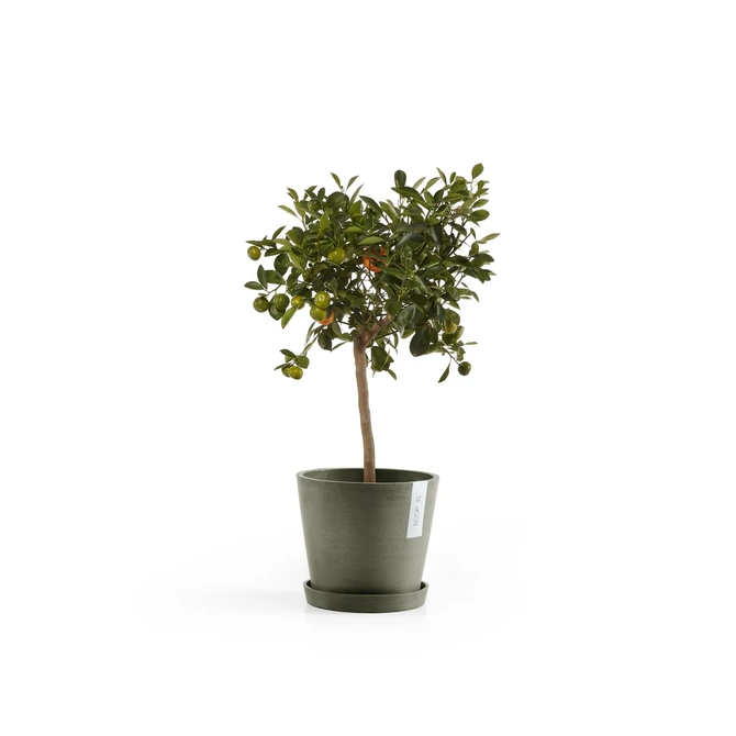 Saucer Round 20 N Kaki pot plant, Ecopots, Tuincentrumoutlet.com