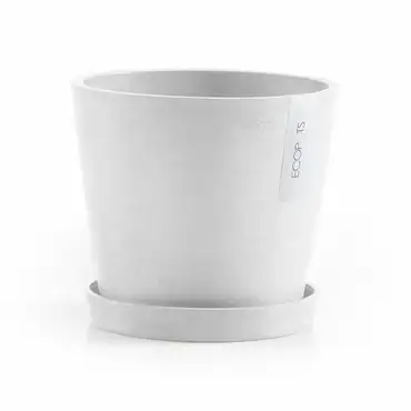 Saucer Round 20 N Wit met pot, Ecopots, Tuincentrumoutlet,com