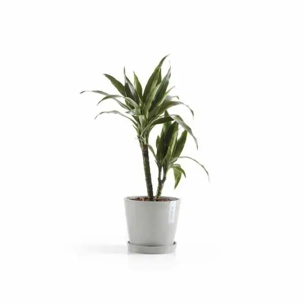 Saucer Round 20 N Witgrijs sfeer, Ecopots, Tuincentrumoutlet.com