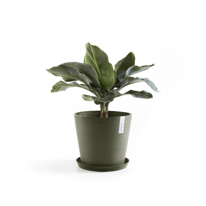 Saucer Round 40 Kaki plant, Ecopots, Tuincentrumoutlet.com