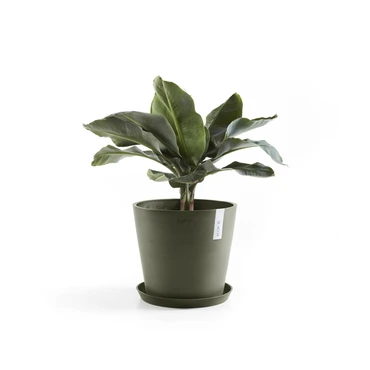Saucer Round 40 Kaki plant, Ecopots, Tuincentrumoutlet.com