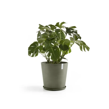 Saucer Round 50 Kaki plant, Ecopots, Tuincentrumoutlet.com