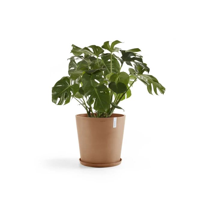 Saucer Round 50 Terra plant, Ecopots, Tuincentrumoutlet.com