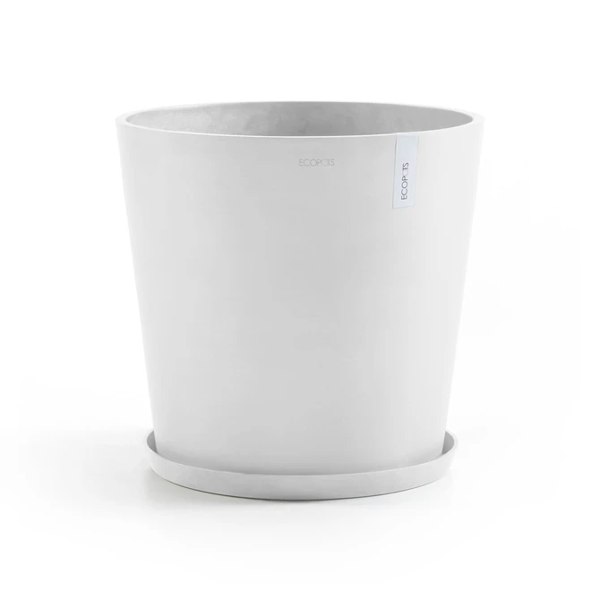 Saucer Round 50 Wit pot, Ecopots, Tuincentrumoutlet.com
