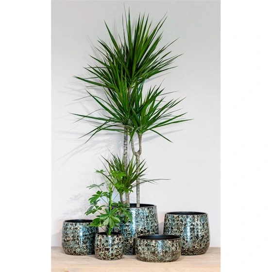 Schaal bejo d28h14cm blauw/zwart - afbeelding 2