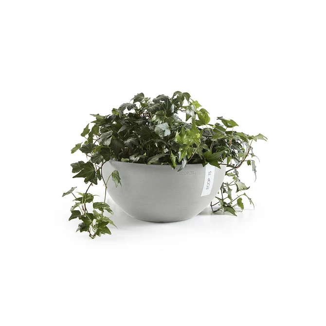 Schaal brussels d35h16cm witgrijs met plant, Ecopots, tuincentrumoutlet.com