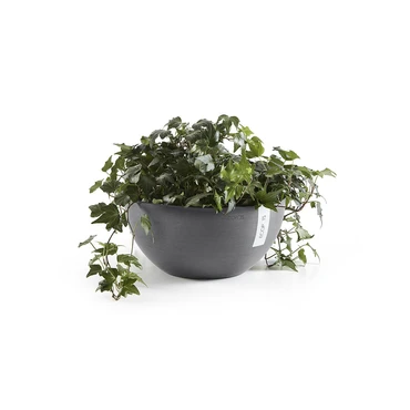 Schaal brussels grijs d25h12cm, Ecopots, Tuincentrumoutlet