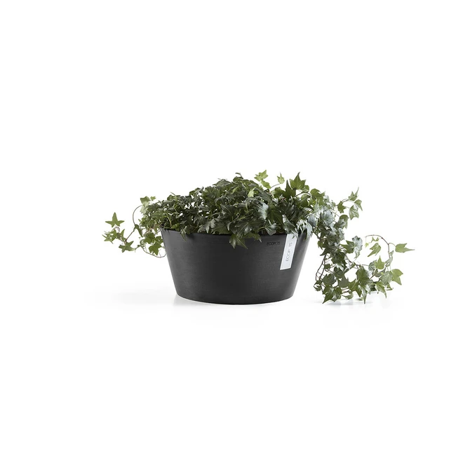 Schaal frankfurt d30cm donkergrijs met plant, Ecopots, tuincentrumoutlet.com