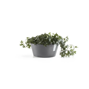 Schaal frankfurt d30h15cm grijs met plant, Ecopots, tuincentrumoutlet.com