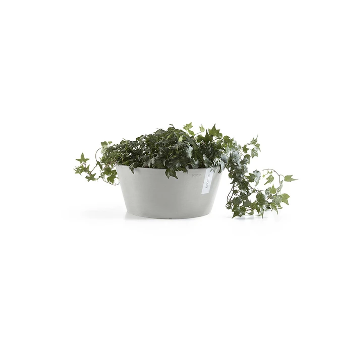 Schaal frankfurt d30h15cm witgrijs met plant, Ecopots, tuincentrumoutlet.com