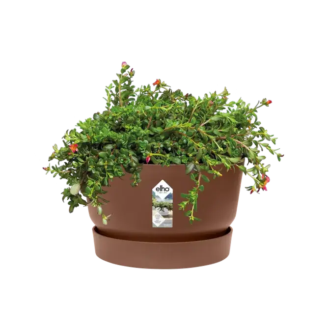 greenville bowl 33cm gemberbruin potplant, Elho, tuincentrumoutlet