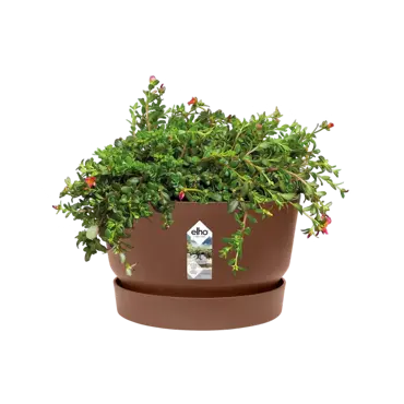 greenville bowl 33cm gemberbruin potplant, Elho, tuincentrumoutlet