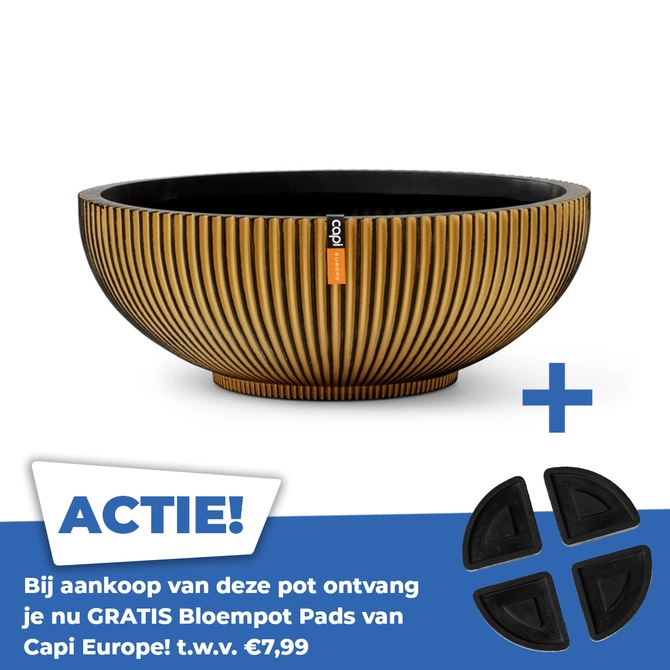 Schaal groove d40h15cm zwart goud - afbeelding 1