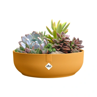 Schaal jazz d28cm amber geel met planten, Elho, tuincentrumoutlet.com