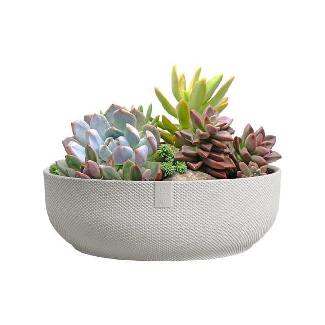 Schaal jazz d28cm zijdewit met planten, Elho, tuincentrumoutlet.com