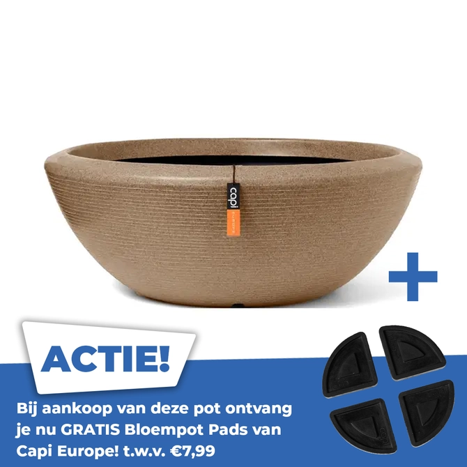 Schaal laag arc graniet d61h25 tpe - afbeelding 1