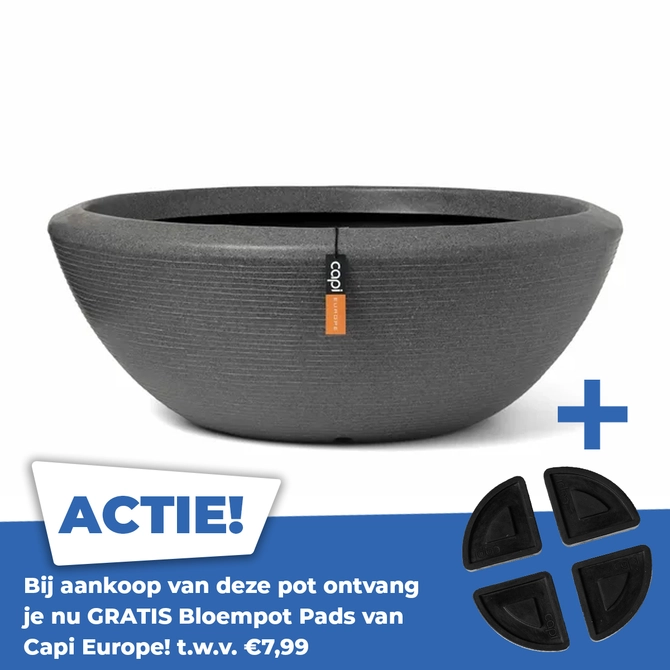 Schaal laag granite Arc d122h46 antraciet - afbeelding 1