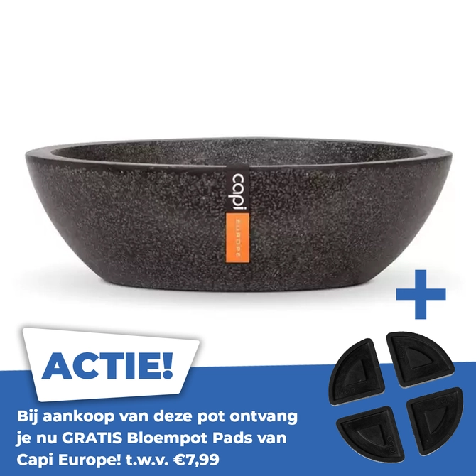 Schaal laag I Ø24 H7 zwart - afbeelding 1