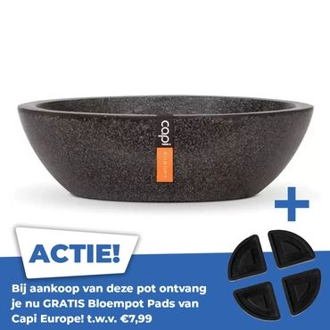 Schaal laag I Ø24 H7 zwart