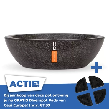 Schaal laag III Ø44 H12 zwart