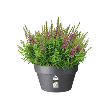 loft urban schaal 35cm antraciet potplant, Elho, tuincentrumoutlet