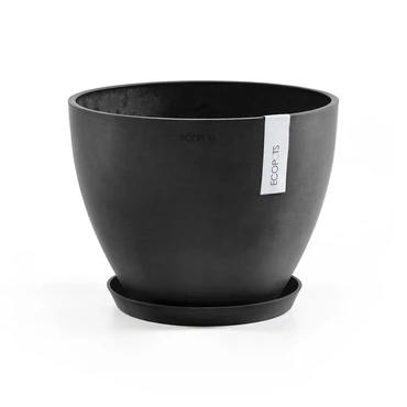 Schaal round d21cm donkergrijs met pot, Ecopots, tuincentrumoutlet.com