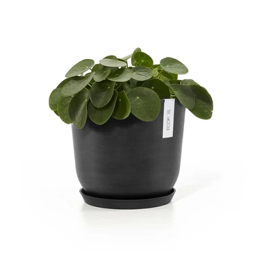 Schaal round d21cm donkergrijs sfeerfoto, Ecopots, tuincentrumoutlet.com