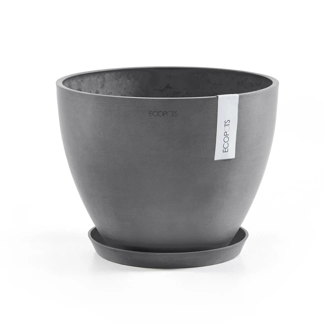 Schaal round d21cm grijs met pot, Ecopots, tuincentrumoutlet.com