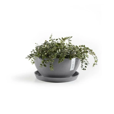 Schaal round d21cm grijs sfeerfoto, Ecopots, tuincentrumoutlet.com